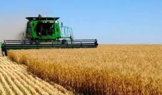 На Міловщині завершується збирання ранніх зернових культур 