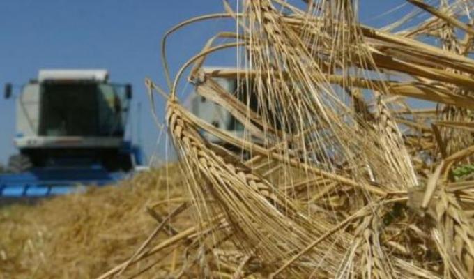 Сільськогосподарські підприємства Міловського району завершують збирання ранніх зернових та зернобобових культур.