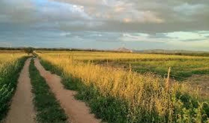 Міністерство розвитку економіки, торгівлі і сільского господарства опублікувало для обговорення проект закону про обіг земель сільськогосподарського призначення