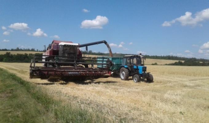 У Міловському районі продовжується збирання врожаю ранніх зернових культур