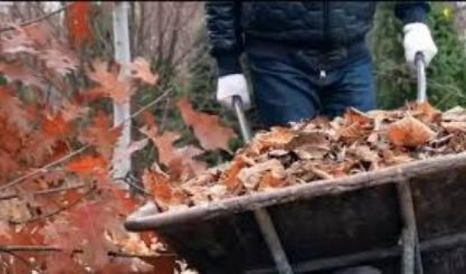 Райдержадміністрація закликає громадян не спалювати опале листя