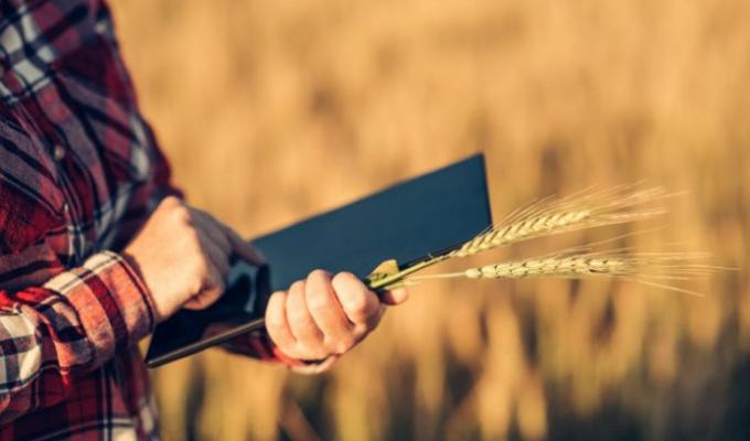 Розпочинається чергова фаза впровадження Державного аграрного реєстру