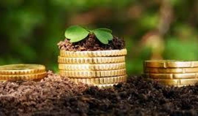 Власники землі та землекористувачі Станично-Луганського, Біловодського та Міловських районів спрямували до місцевих бюджетів 26 мільйонів гривень плати за землю