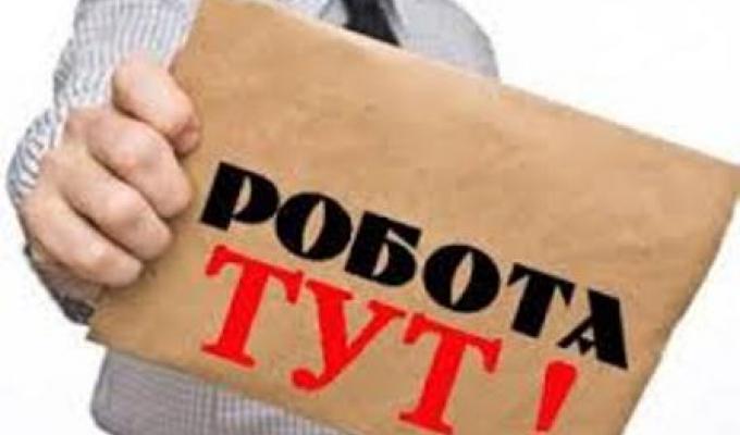 Індивідуальний підхід для кожного, хто шукає роботу, - Уряд впроваджує інститут кар'єрного радника
