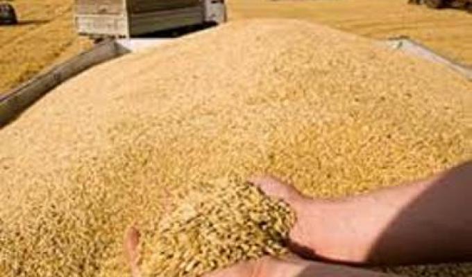 Аграрії Міловщини звітують про завершення осінньо-польових робіт