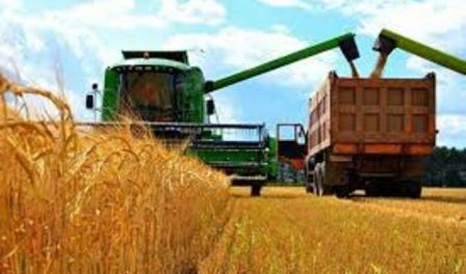 Аграрії Міловщині майже завершили збирання ранніх зернових культур