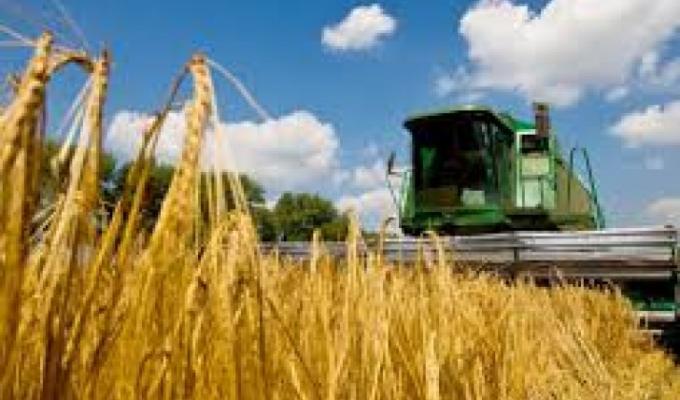 Жнива 2018: у Міловському районі продовжується збирання врожаю ранніх зернових культур