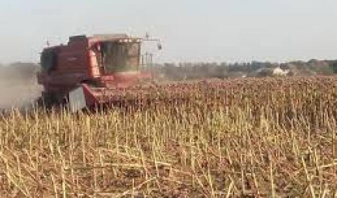 Осінній комплекс робіт в агроформуваннях Міловського району