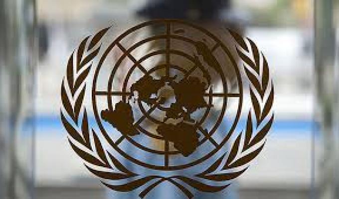 FAO Ukraine проведено регіональний експортний тренінг проекту «Агроторгівля України»