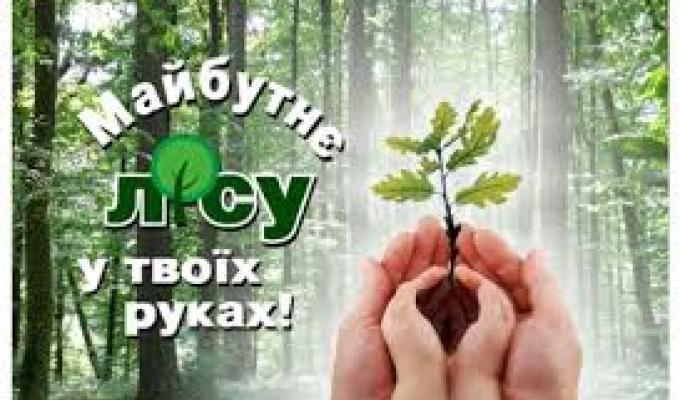    Збережемо ліси для майбутніх поколінь