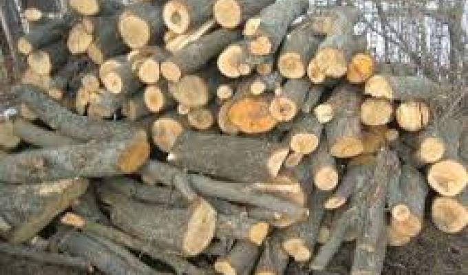 До уваги мешканців Міловського району: Микільське лісництво роз’яснює цінову політику на послуги забезпечення дровами