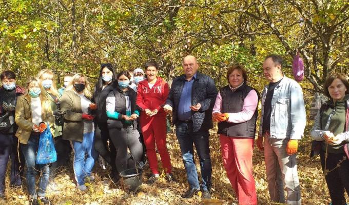ДОПОМОЖЕМО ВІДНОВИТИ ЛІСИ ЛУГАНЩИНИ