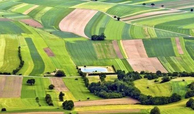 Набула чинності загальнонаціональна оцінка земель за межами населених пунктів