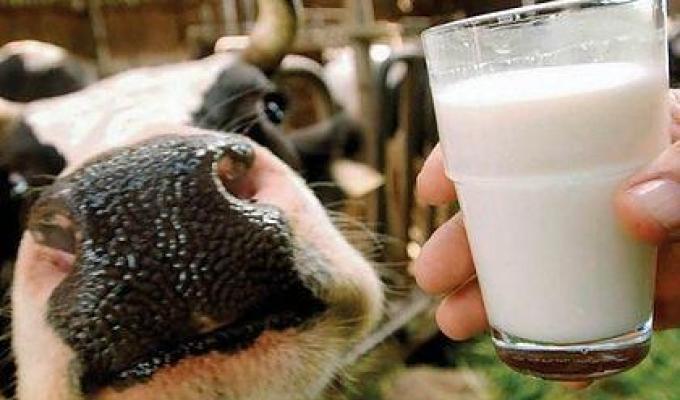 Молочникам Донбасу Світовий банк допоможе модернізувати виробництво