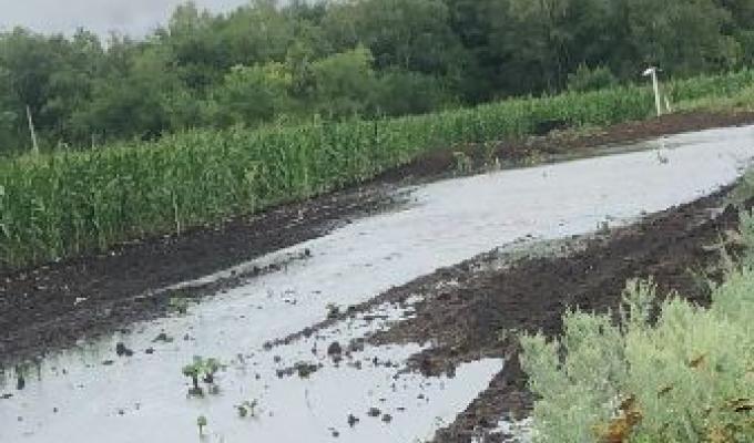 Негода заважає збиранню врожаю ранніх зернових культур у Міловському районі