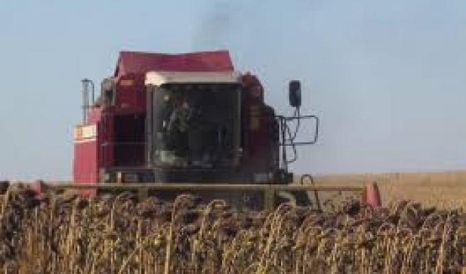 У Міловському районі продовжується збір пізніх сільськогосподарських культур