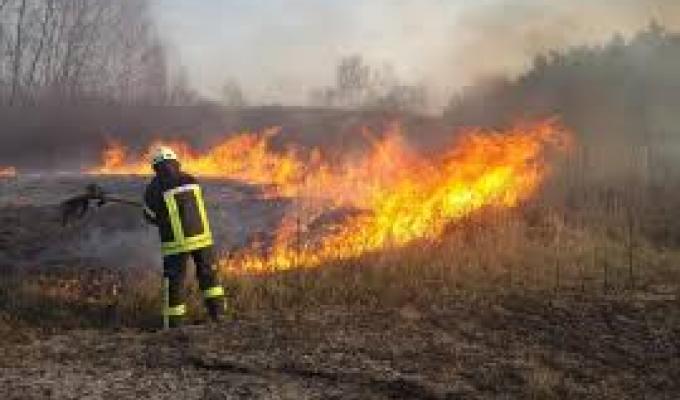 Пожежі на території Міловського району локалізовані