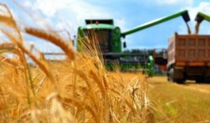 Алгоритм отримання сільськогосподарським товаровиробником коштів з резервного фонду бюджету