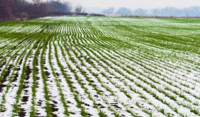 Аграрії Міловського району готуються до весняно-польових робіт