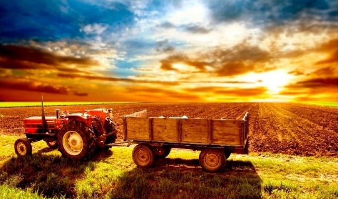 Уряд ухвалив постанову щодо спрощення міжнародної торгівлі зерновими культурами