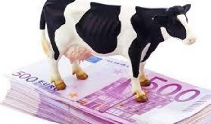 Виплата коштів за програмою «Державна підтримка галузі тваринництва»