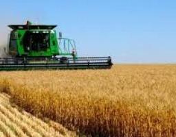 На Міловщині завершується збирання ранніх зернових культур 