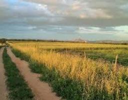 Міністерство розвитку економіки, торгівлі і сільского господарства опублікувало для обговорення проект закону про обіг земель сільськогосподарського призначення