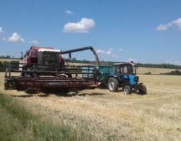 У Міловському районі продовжується збирання врожаю ранніх зернових культур
