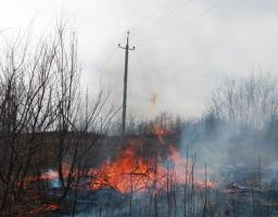 Дотримуємось правил пожежної безпеки в природних екосистемах