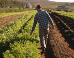 Міністерство аграрної політики та продовольства України розпочинає всеукраїнську інформаційну кампанію з підтримки розвитку фермерства  