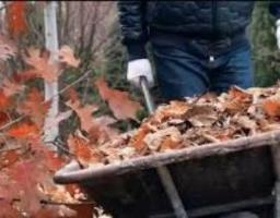 Райдержадміністрація закликає громадян не спалювати опале листя