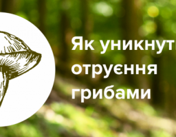 Увага: в області почастішали випадки отруєння грибами