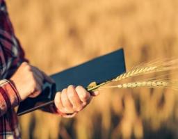 Розпочинається чергова фаза впровадження Державного аграрного реєстру