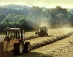 Мінекономіки розглядає включення до переліку нової вітчизняної сільськогостехніки та обладнання, вартість яких частково компенсуватиме держава