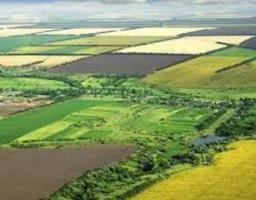 З 1 січня власники земельних ділянок усіх форм власності зможуть обмінюватися ними в межах одного земельного масиву