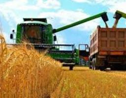 Аграрії Міловщині майже завершили збирання ранніх зернових культур