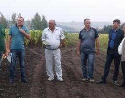 На Міловщині відбувся День поля