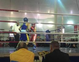 Спортсмени з Міловщини прийняли участь у зональному чемпіонаті України з боксу серед юнаків