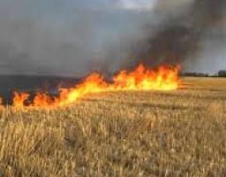 Заходи з протипожежної безпеки під час жнив – запорука збереження врожаю.
