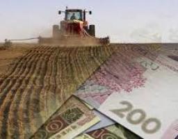 До уваги сільгосптоваровиробників: інформуємо про порядок отримання часткової компенсації вартості закупленого у суб’єктів насінництва насіння сільськогосподарських рослин вітчизняної селекції