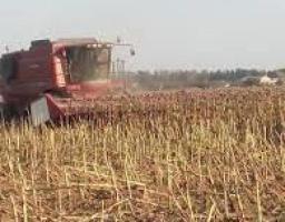 Осінній комплекс робіт в агроформуваннях Міловського району