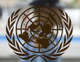 FAO Ukraine проведено регіональний експортний тренінг проекту «Агроторгівля України»