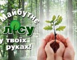    Збережемо ліси для майбутніх поколінь