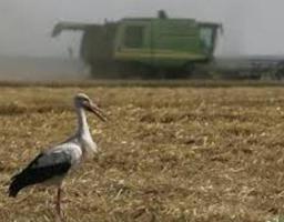 До уваги землевласників та землекористувачів – внесено зміни до Закону України «Про оренду землі»