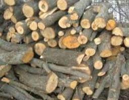 До уваги мешканців Міловського району: Микільське лісництво роз’яснює цінову політику на послуги забезпечення дровами
