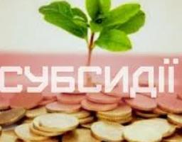 Ощадбанк розпочав виплати субсидій готівкою отримувачам державної допомоги, які не є пенсіонерами