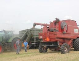 У Міловському районі продовжується жнивна кампанія