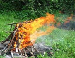 ДСНС попереджає: Правила пожежної безпеки під час відпочинку на природі
