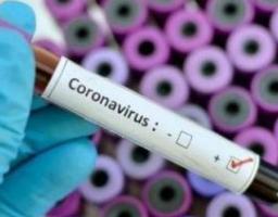 У Сєвєродонецьку підтверджені три нових випадки захворювання на COVID-19. В Україні – 1197