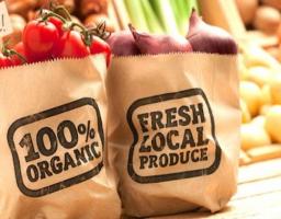 В 2020 році державна підтримка для виробників органічної продукції буде спрямовуватися на компенсацію сертифікації в розмірі 90% від понесених виробником затрат